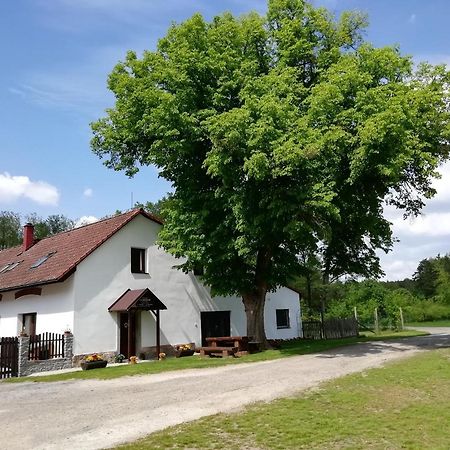 Penzion Starobor Apartment Sedlice  Exterior photo